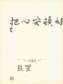 把心安顿好txt
