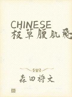 CHINESE校草腹肌飞机视频