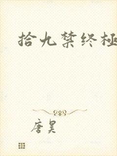 拾九禁终极直播