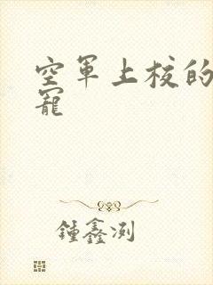 空军上校的邪魅宠