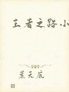 王者之路小说