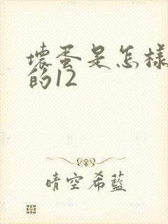 坏蛋是怎样炼成的12