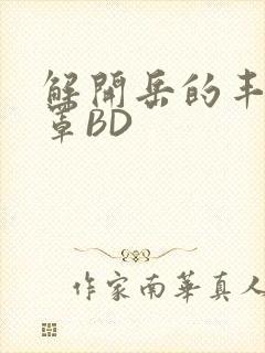 解开岳的丰满奶罩BD