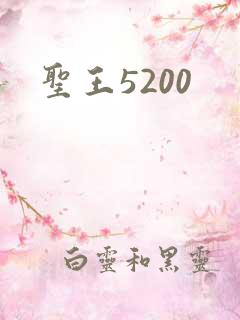圣王5200