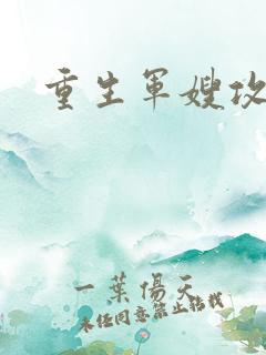 重生军嫂攻略