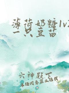 薄荷奶糖1v2一只豆苗