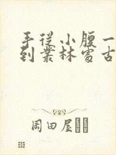 手从小腹一路开到丛林处古代