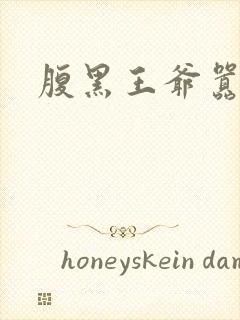 腹黑王爷嚣张妻