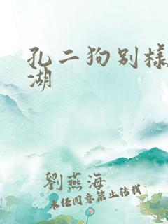 孔二狗别样的江湖