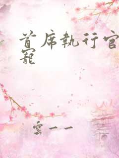 首席执行官的绝宠