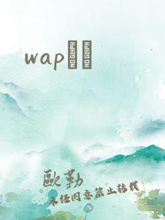 wapС˵