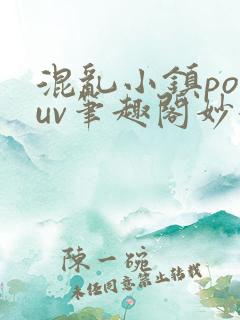 混乱小镇popuv笔趣阁妙妙