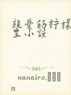 亲爱的柠檬精先生小说