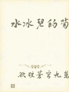 水冰儿的菊花