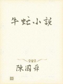 牛虻小说