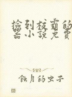 捡到校霸的遥控器小说免费阅读