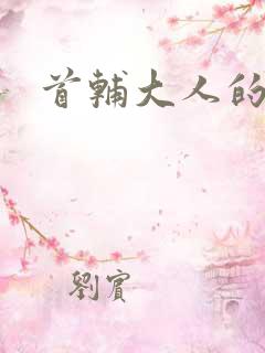 首辅大人的套路