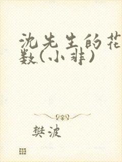 沈先生的花式调数(小非)