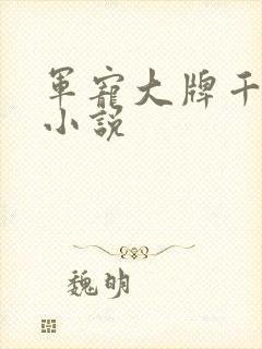 军宠大牌千金 小说