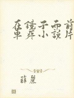 在镜子面前做开车疼小说片段