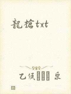 龙枪txt