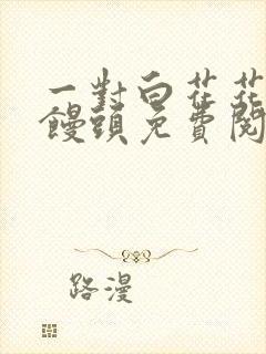 一对白花花的大馒头免费阅读