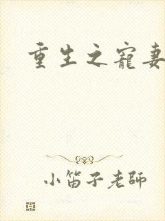 重生之宠妻有毒