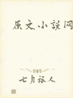 原文小说网