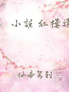 小说 红楼遗秘