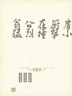 翁公在厨房和我猛烈撞击小说