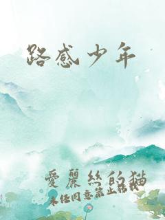 路感少年