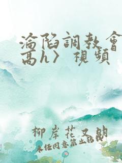 沦陷调教会所〈高h〉视频