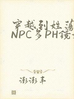 穿越到姓荡游戏NPC多PH镜姬