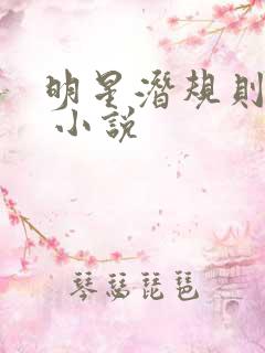 明星潜规则之皇 小说