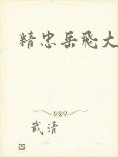 精忠岳飞大结局