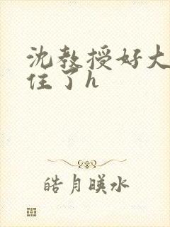 沈教授好大含不住了h