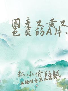 国产又黄又大又色爽的A片小说