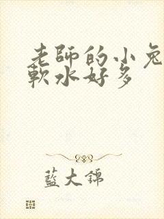 老师的小兔子好软水好多