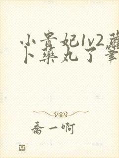 小贵妃1v2萝卜药丸了笔趣阁