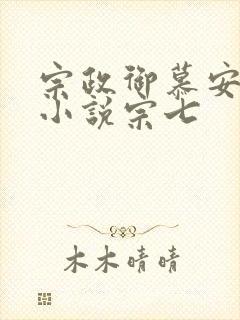 宗政御慕安安的小说宗七