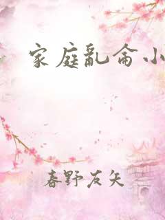 家庭乱仑小说