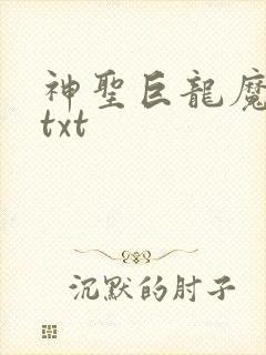 神圣巨龙魔法师txt