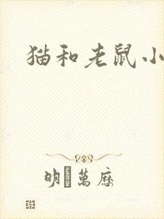 猫和老鼠小说