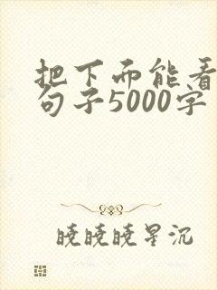 把下面能看湿的句子5000字