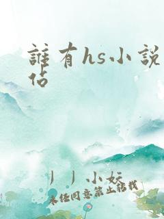 谁有hs小说网站