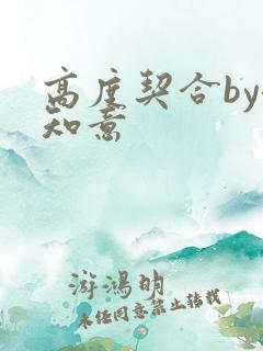高度契合by洛知意