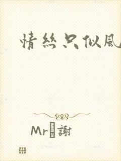 情丝只似风前絮