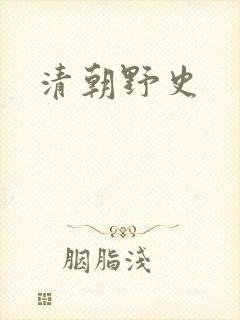 清朝野史
