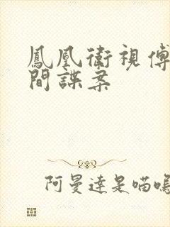 凤凰卫视傅晓田间谍案