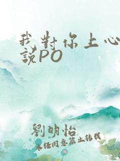 我对你上心了小说PO